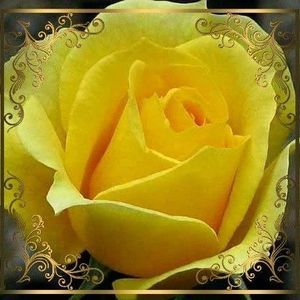 Meet your Posher, Eileen